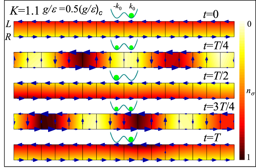 Defect induced nonequilibrium quantum dynamics in an interacting Bose ...