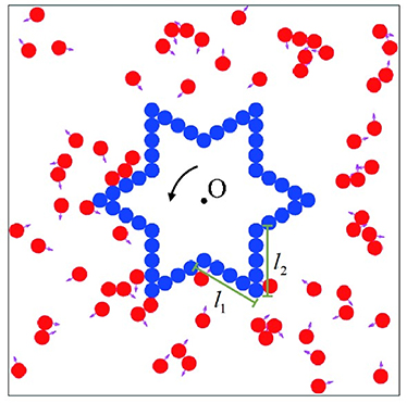 Chiral Rotation Chirality-induced directional rotation of a symmetric gear in a bath of ...