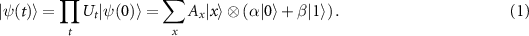 Equation (1)