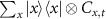 $\sum_x\vert x\rangle\langle x\vert\otimes C_{x,t}$