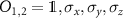 $O_{1,2} = \unicode{x1D7D9}, \sigma_x,\sigma_y,\sigma_z$