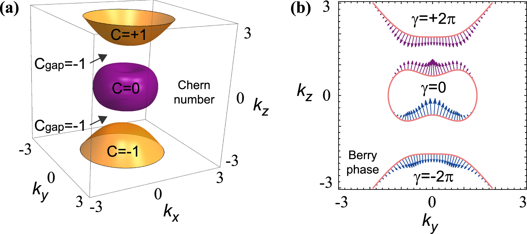 Fermi arc surface state and topological switch in the gyromagnetic ...