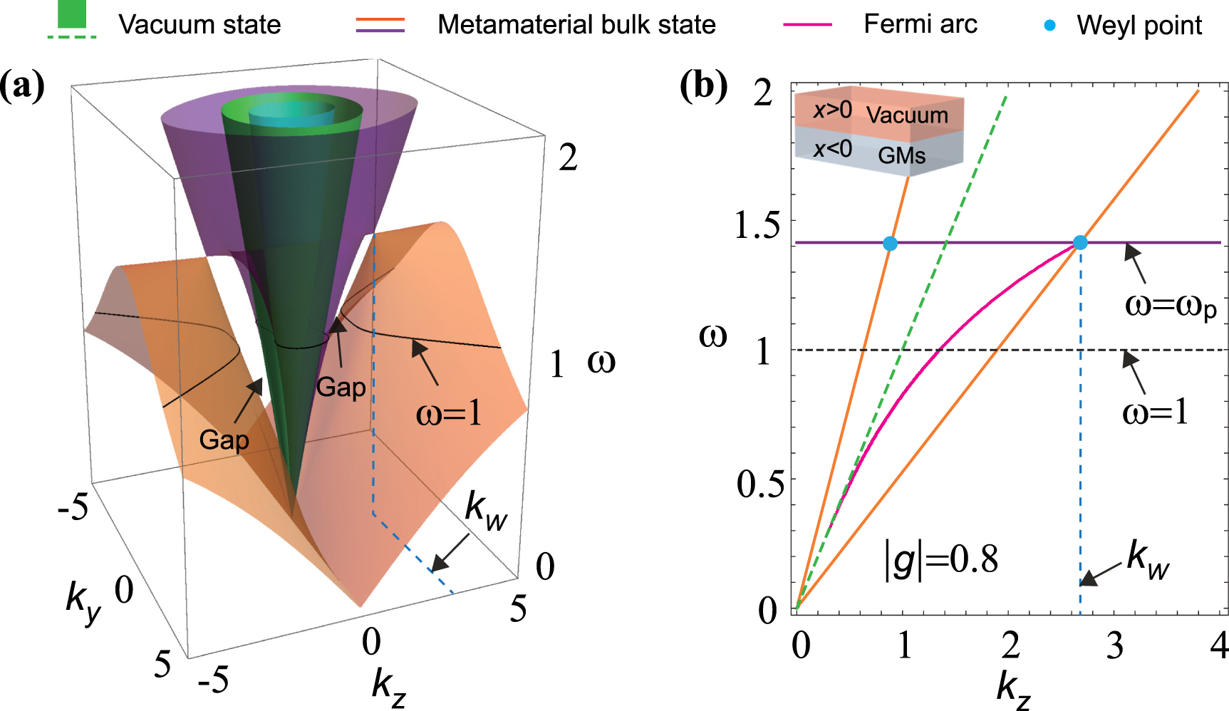 Fermi arc surface state and topological switch in the gyromagnetic ...
