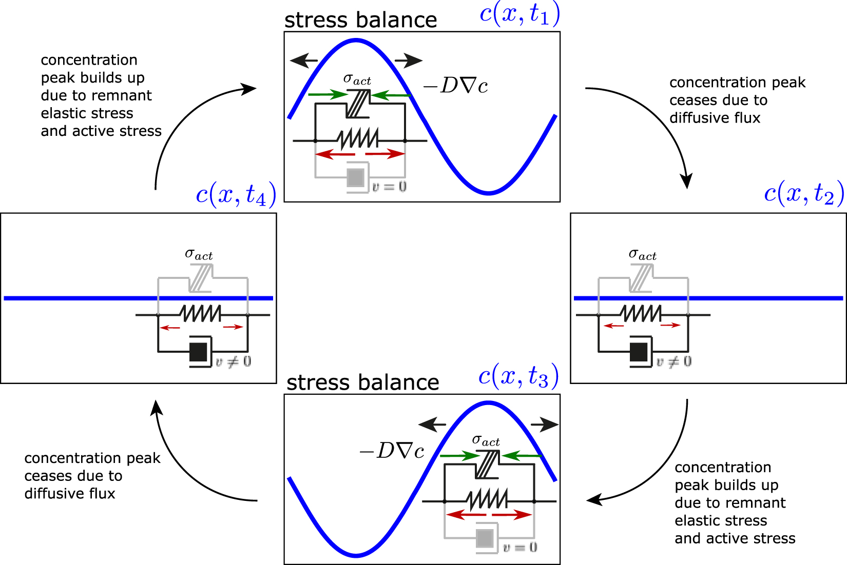 Pulsatory patterns in active viscoelastic fluids with distinct ...