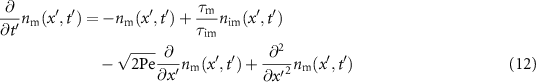 Equation (12)