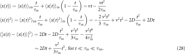 Equation (28)