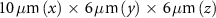 $10\,\mu {\text{m}}\left( x \right)\, \times \,6\,\mu {\text{m}}\left( y \right)\, \times \,6\,\mu {\text{m}}\left( z \right)$
