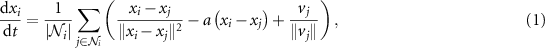 Equation (1)