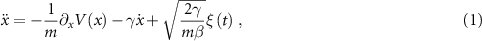 Equation (1)
