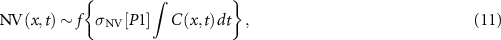 Equation (11)