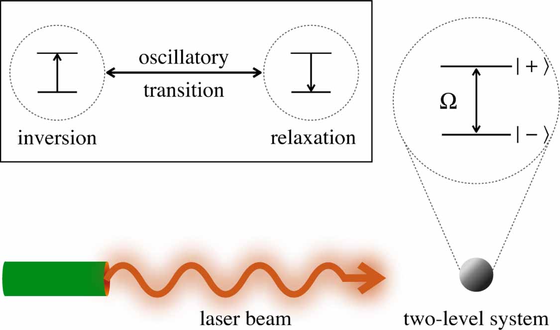 Quantum multiphoton Rabi oscillations in waveguide QED - IOPscience