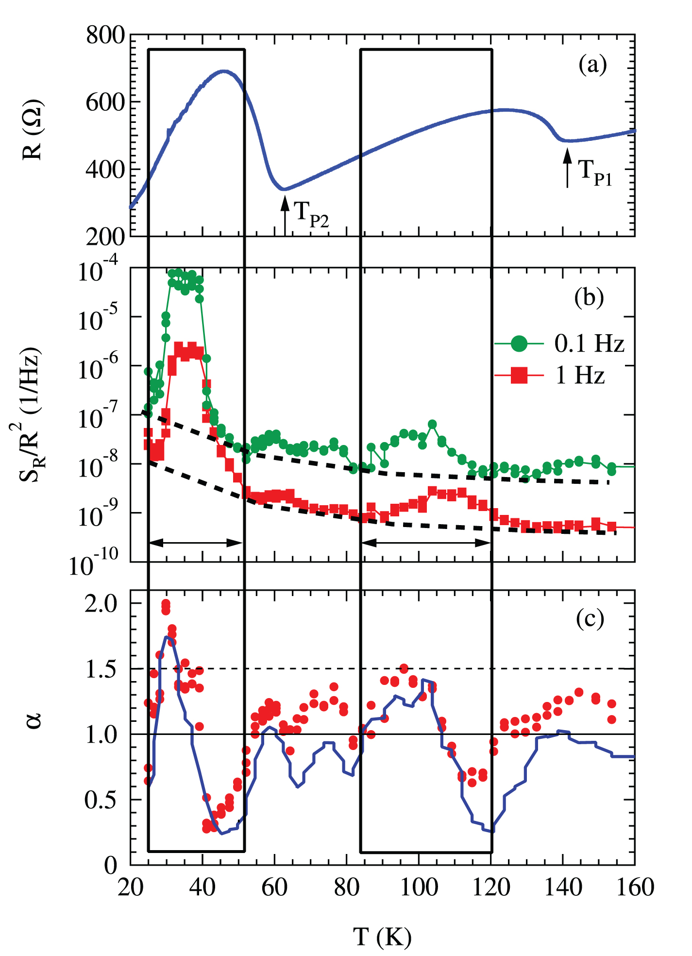 The dynamics of pinned charge density wave in NbSe3 nanoribbons ...