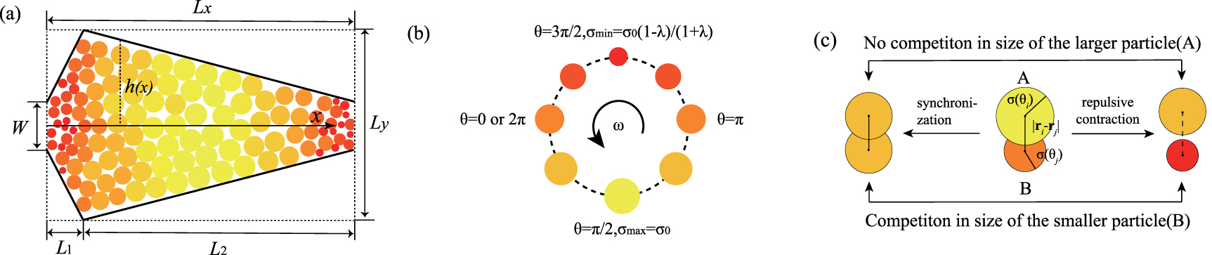 Collective motion of pulsating active particles in confined structures ...