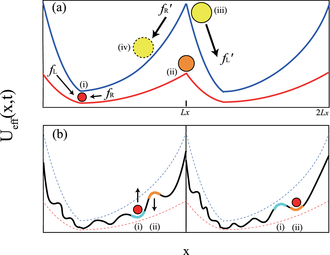 Collective motion of pulsating active particles in confined structures ...