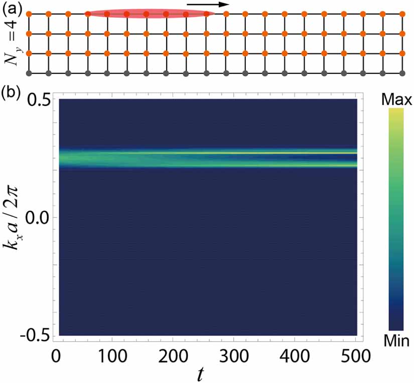 The suppression of finite size effect within a few lattice sites ...