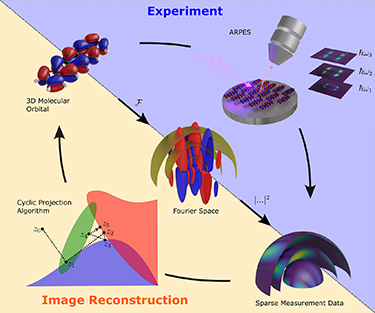 Figure 1. Refer to the following caption and surrounding text.
