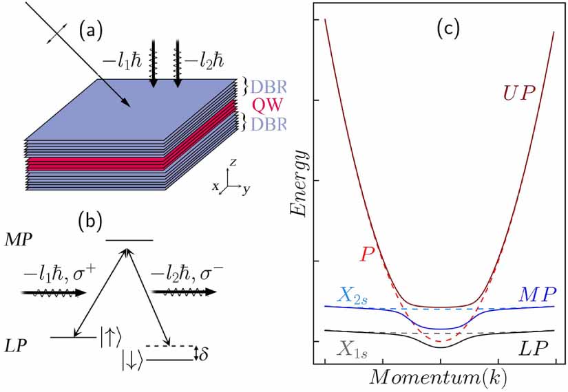 Stability of vortices in exciton-polariton condensates with spin ...