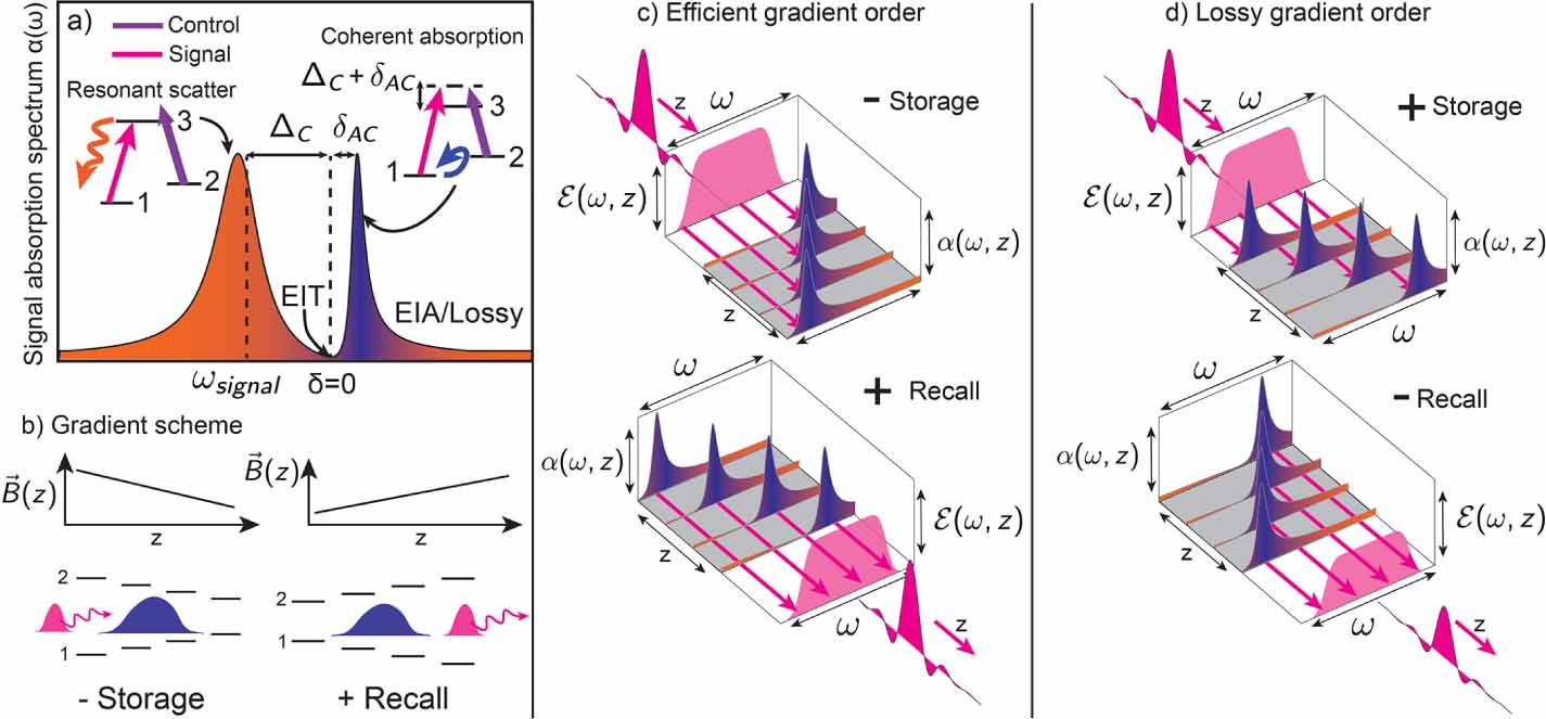 Figure 1. Demonstration of the gradient order effect for GEM. (a) the signal absorption profile when applying gradients in (b). (c,d) Efficient and lossy gradient orders.