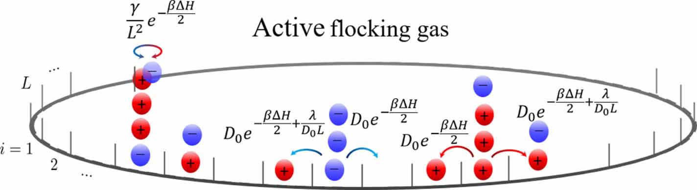 Thermodynamically consistent flocking: from discontinuous to continuous ...