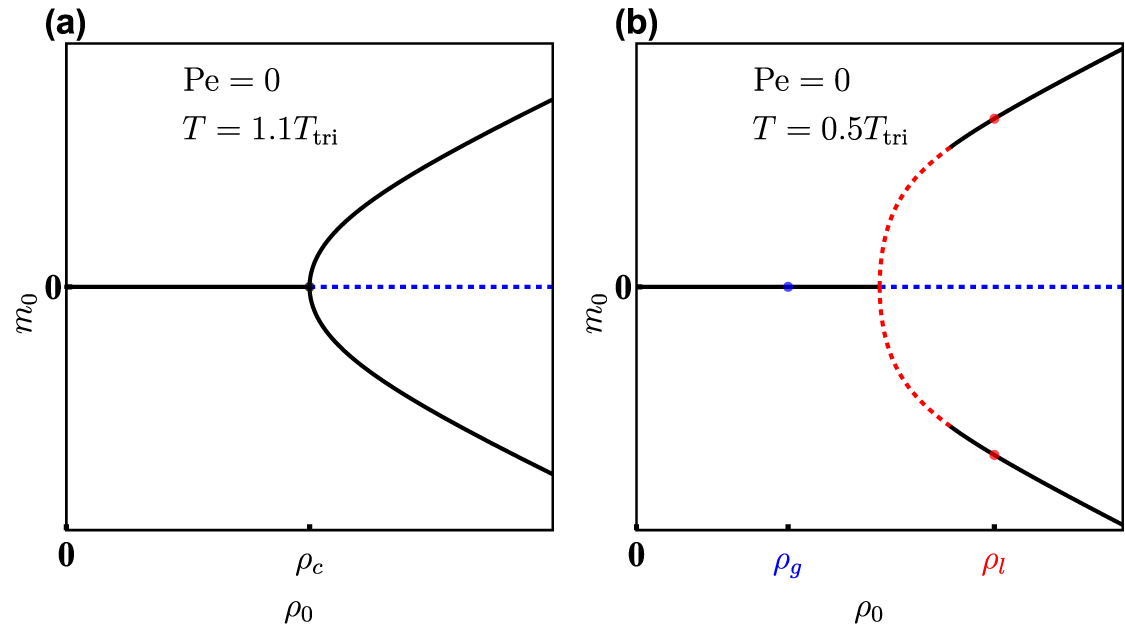 Thermodynamically consistent flocking: from discontinuous to continuous ...