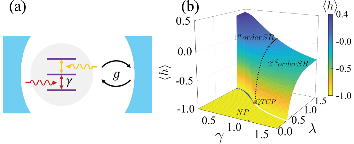 Quantum tricriticality in a generalized quantum Rabi system - IOPscience