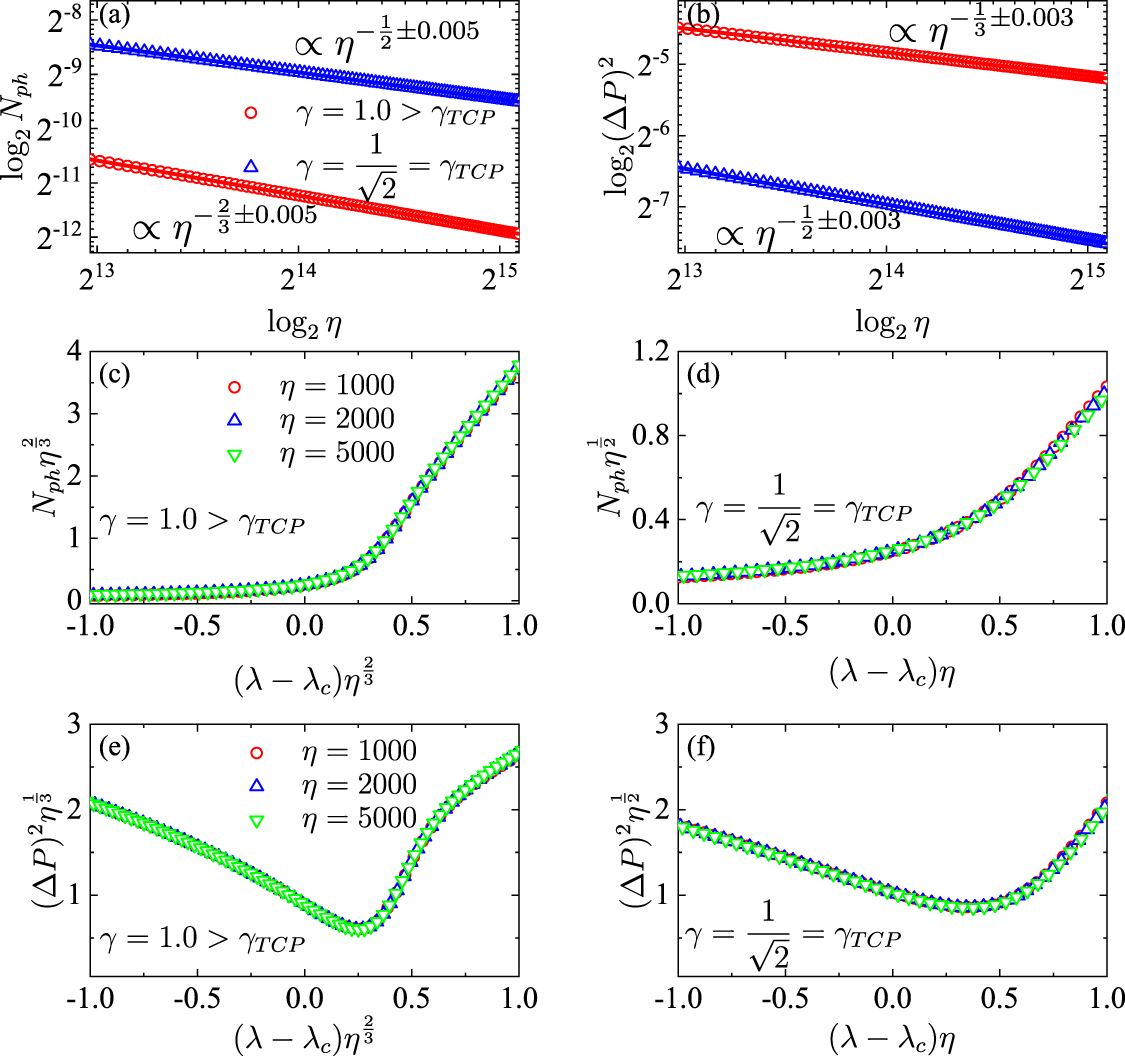 Quantum tricriticality in a generalized quantum Rabi system - IOPscience