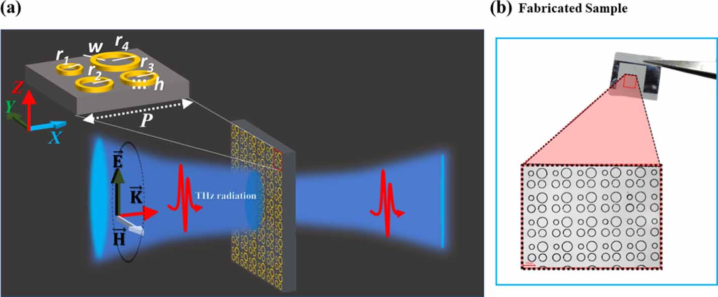 High-quality factor Quasi-BIC mode via selective symmetry-breaking ...