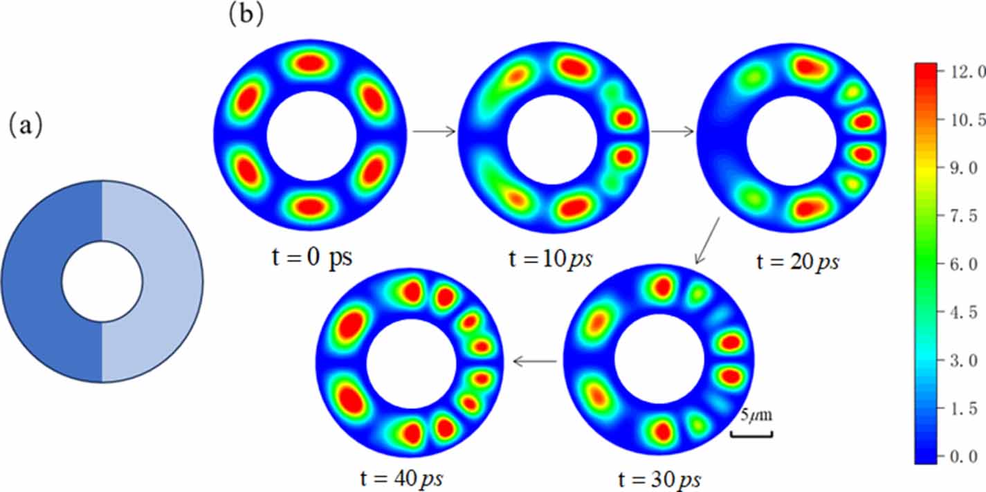 The dynamical evolution of exciton-polaritons in asymmetric ring-step ...