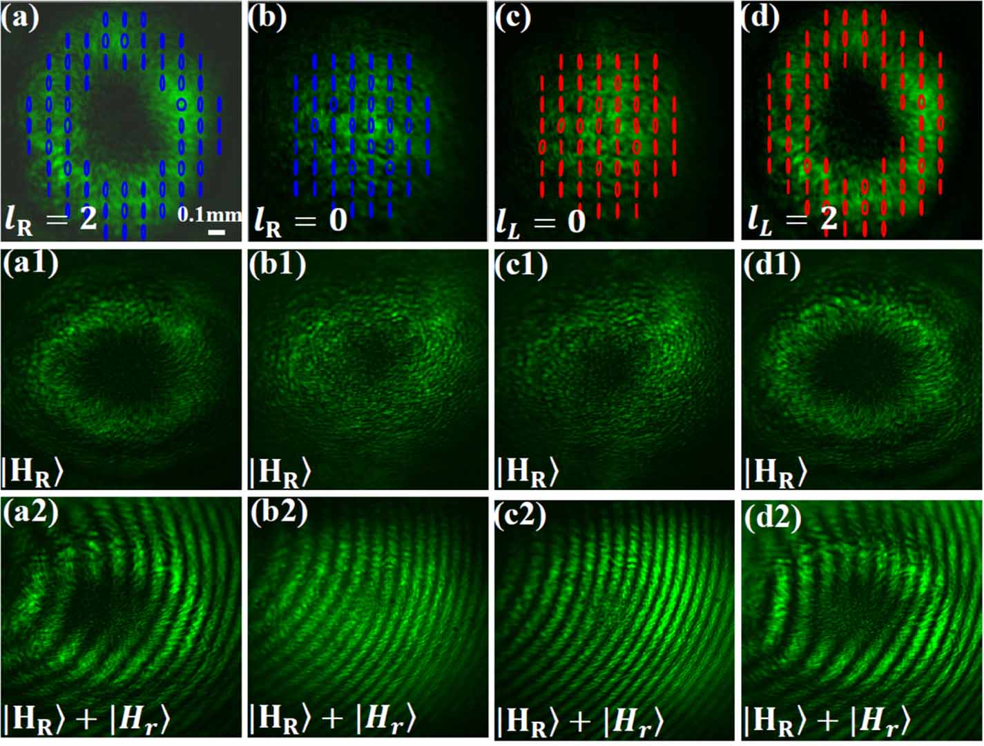 Spatial mode conversion of a reflected polarized beam from an isotropic ...