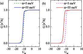 Bipolar topological spin diode and topological spin transistor in ...