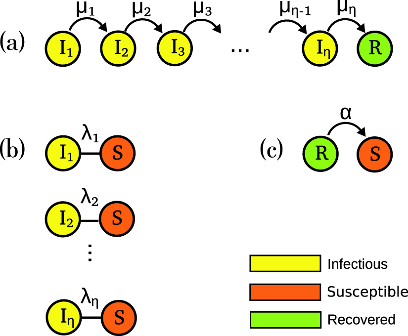 Nowak Infection Model Consequences of non-Markovian healing processes on epidemic models with ...