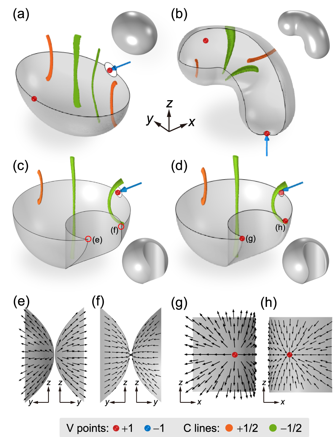 Sculpturing sound fields with the real-space structural topology of ...