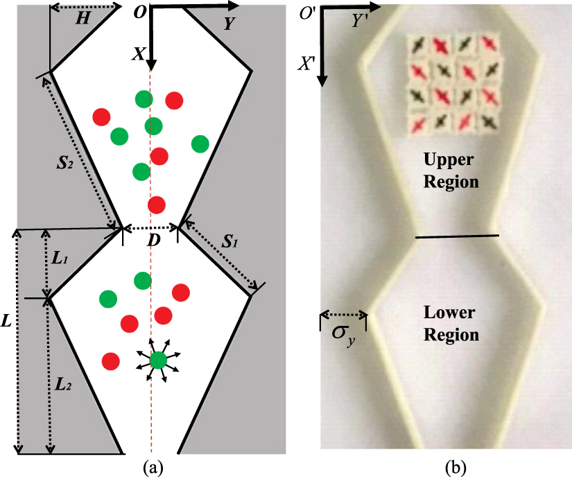 Deep learning for predicting the evolution of chiral active particles ...