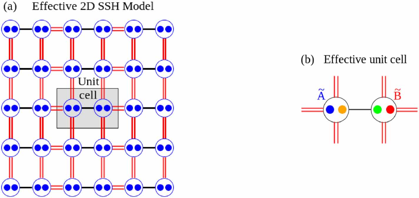 Floquet topological phase transitions in 2D Su–Schrieffer–Heeger model ...