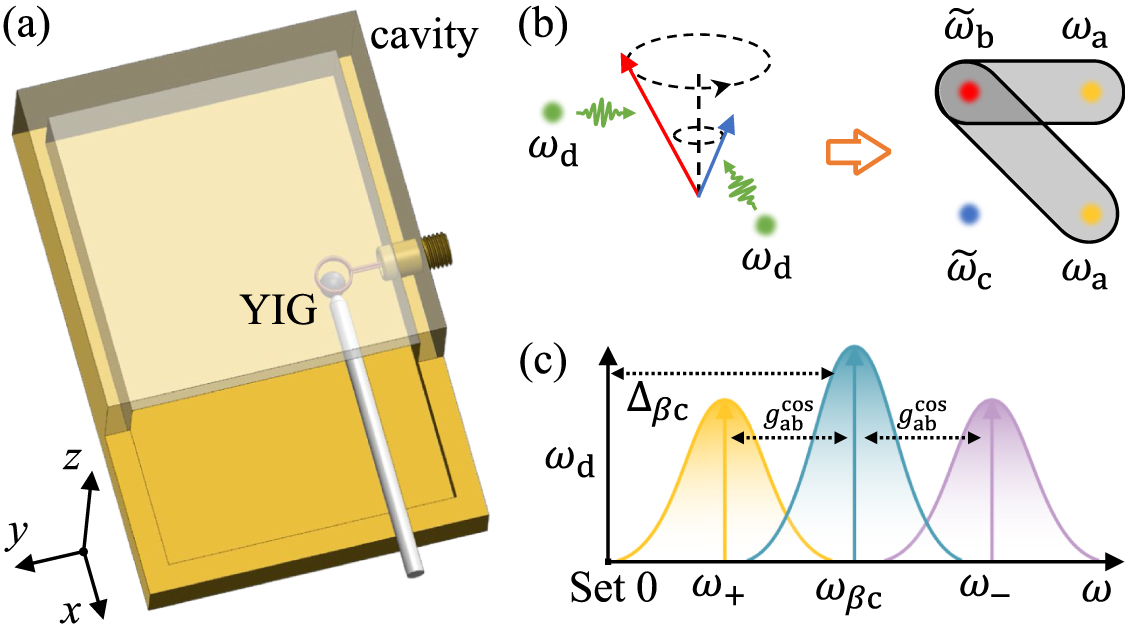 Magnon-polariton multistable entangled state in cavity magnonics ...