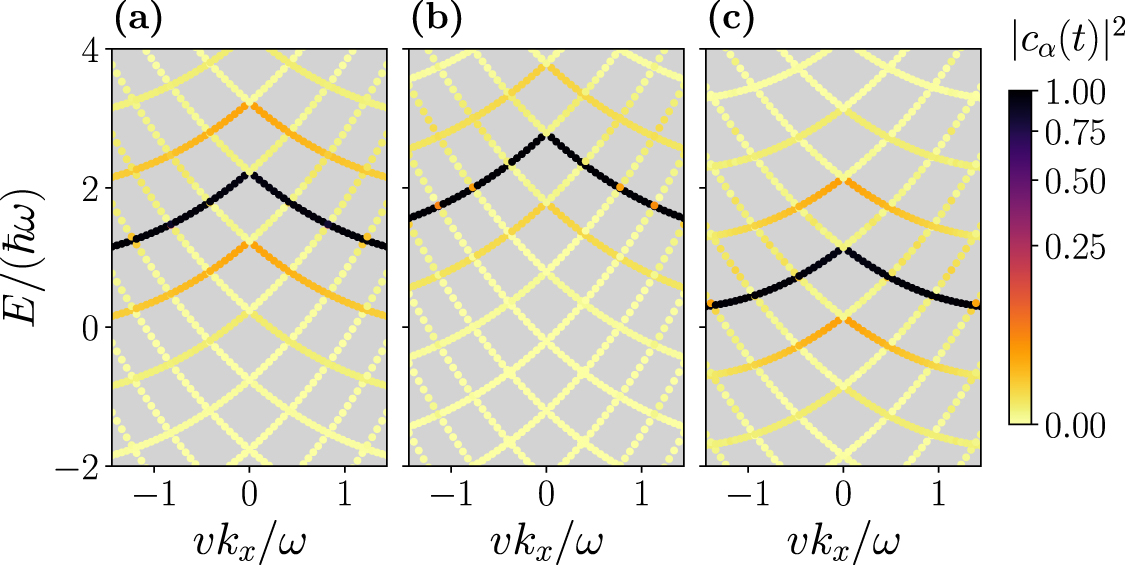 Radiation-induced dynamical formation of Floquet-Bloch bands in Dirac ...