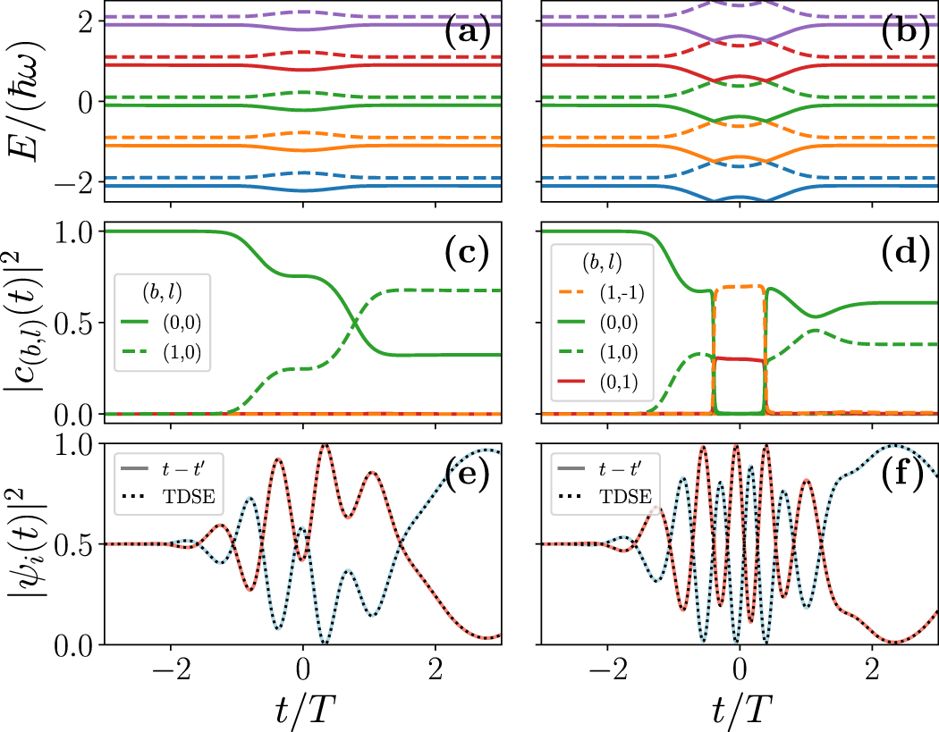 Radiation-induced dynamical formation of Floquet-Bloch bands in Dirac ...
