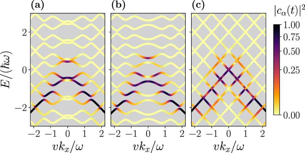 Radiation-induced dynamical formation of Floquet-Bloch bands in Dirac ...