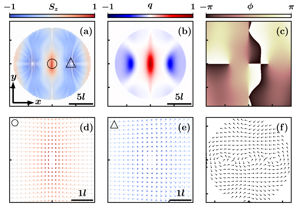 Magnetization induced skyrmion dynamics of a spin–orbit-coupled spinor ...