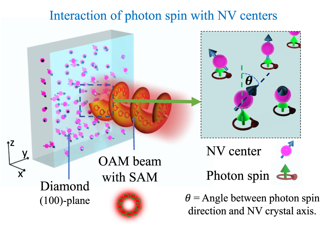 Quantum imaging of photonic spin texture in an OAM beam with NV centers ...