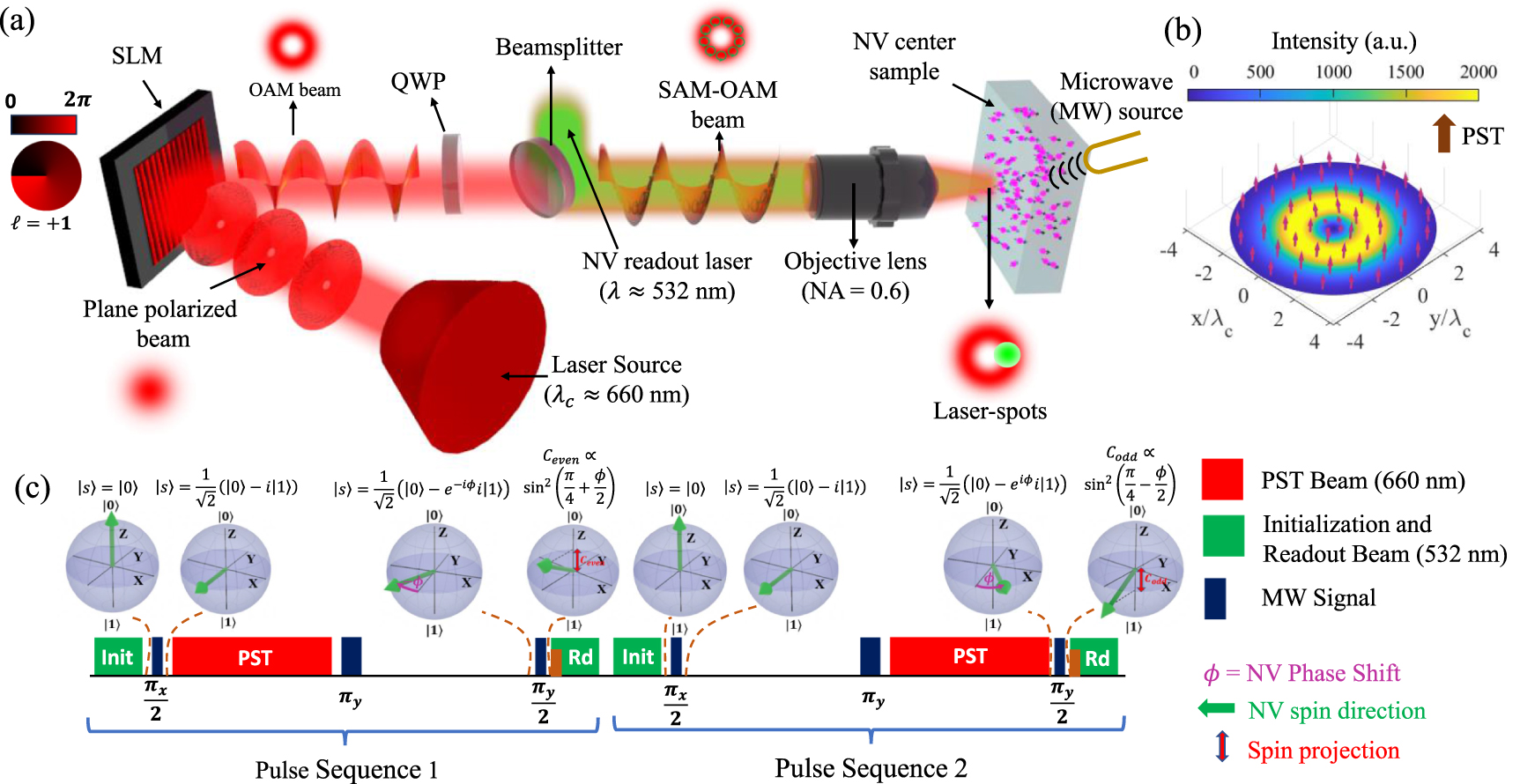 Quantum imaging of photonic spin texture in an OAM beam with NV centers ...