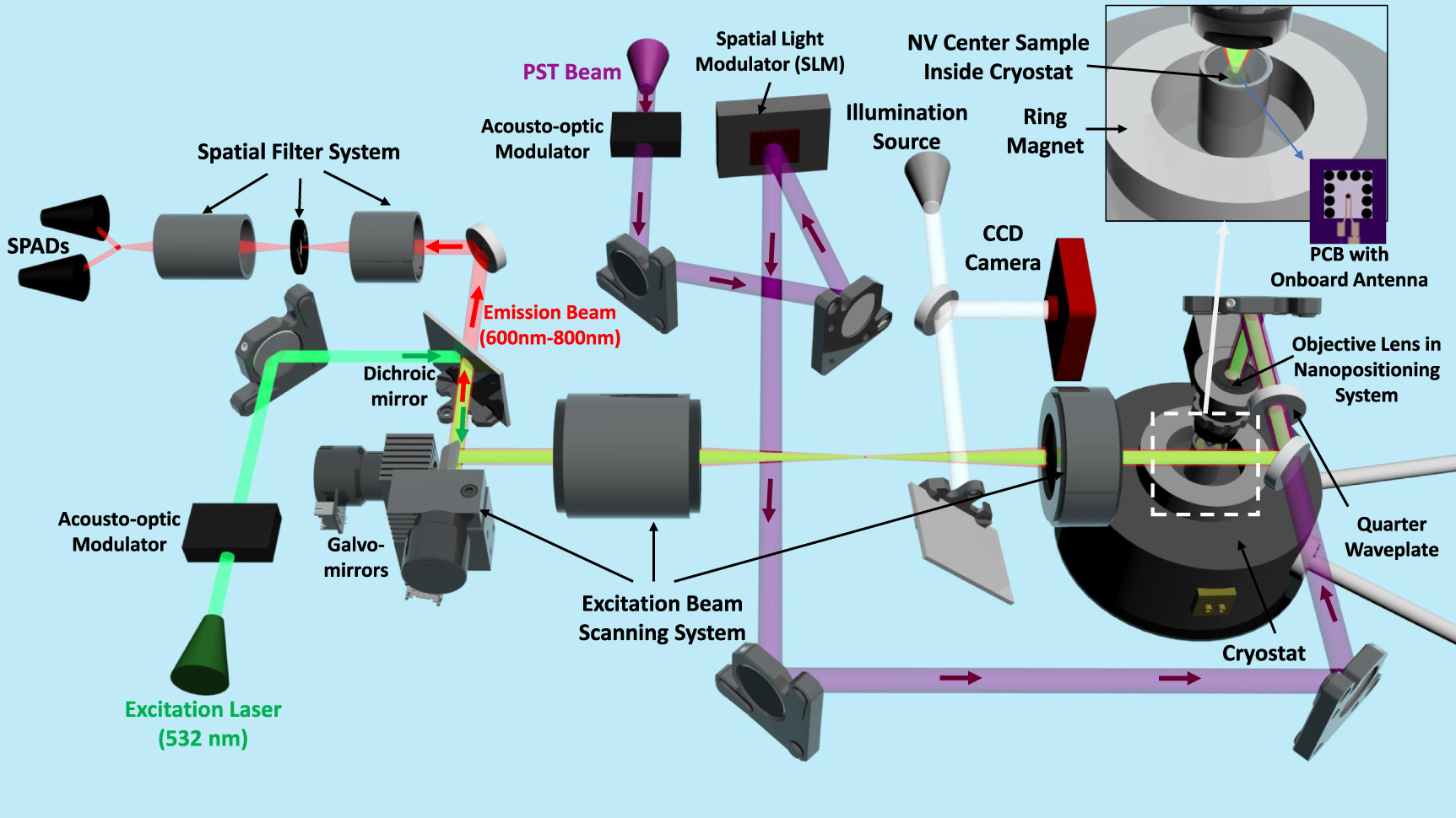 Quantum imaging of photonic spin texture in an OAM beam with NV centers ...