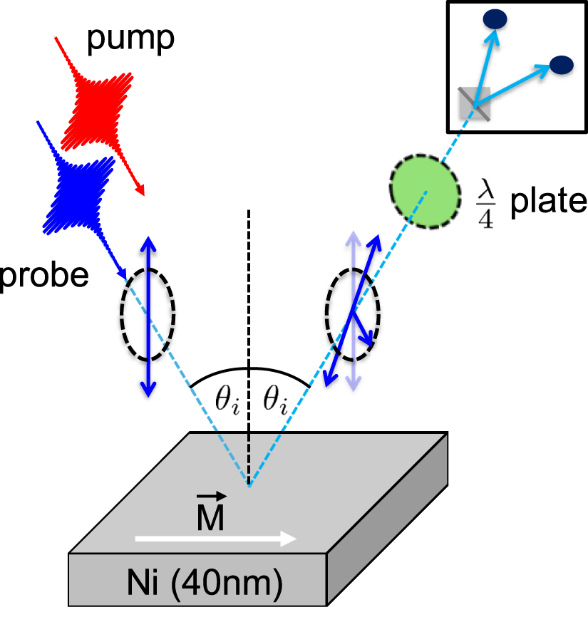 Kerr Prob Signatures of ballistic and diffusive transport in the time-dependent ...