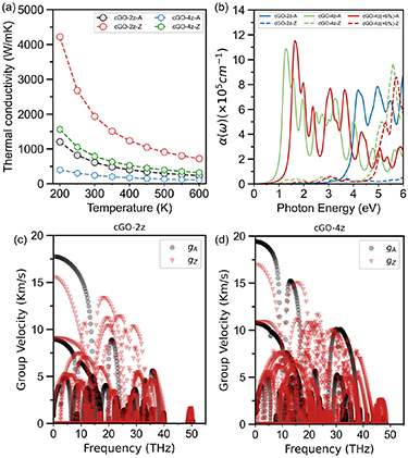Oxidized-driven and strain-tunable anisotropic effects in