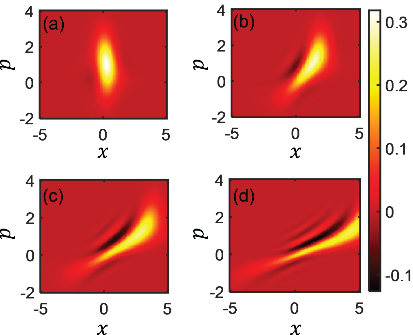 Efficient protocol for exploring the quantum interference and ...