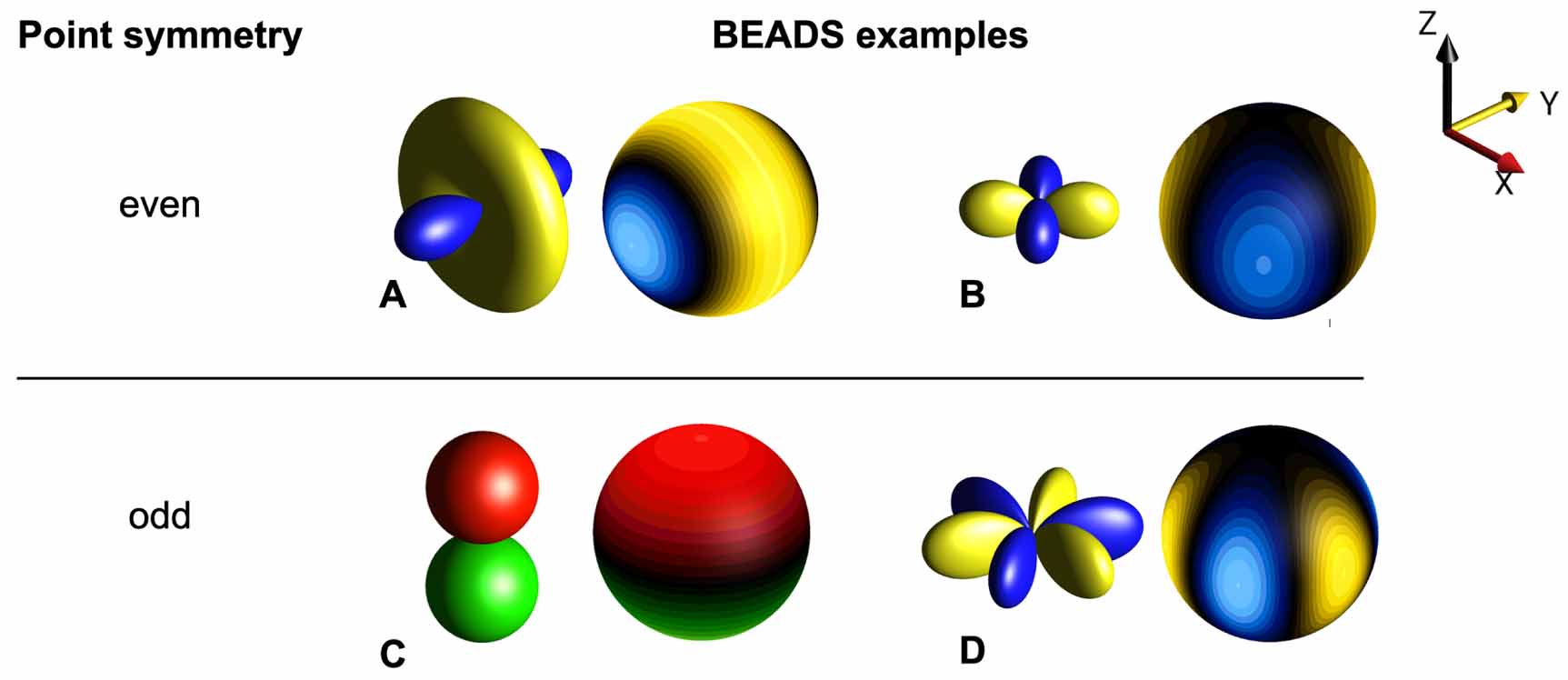 BEADS: a canonical visualization of quantum states for
