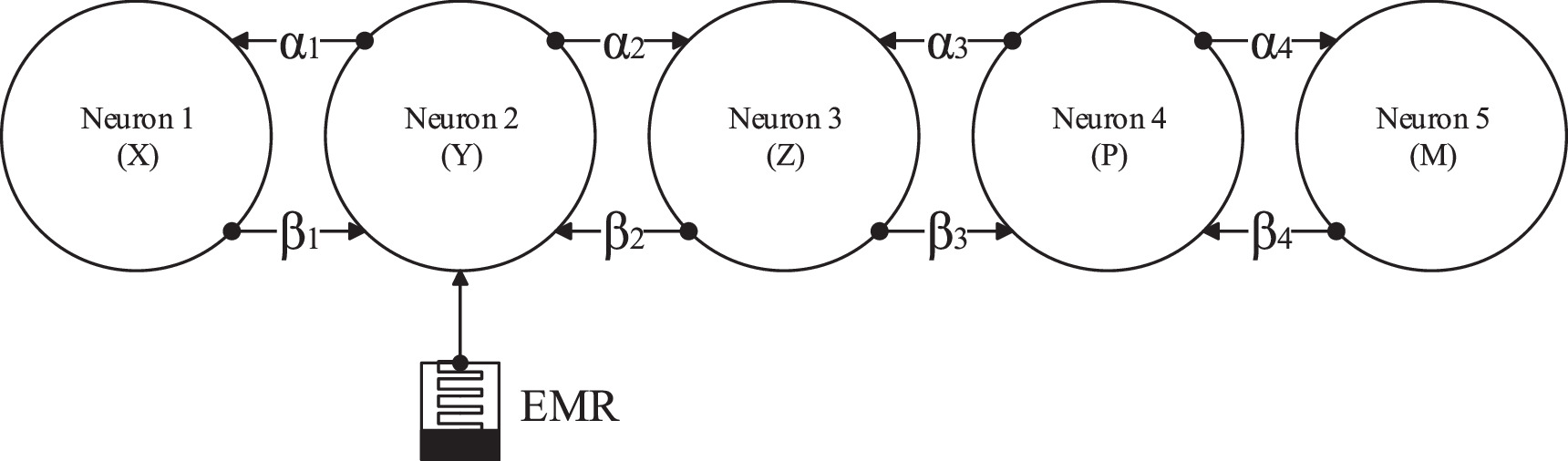 Effect of electromagnetic radiations on the dynamics of a five-chain ...