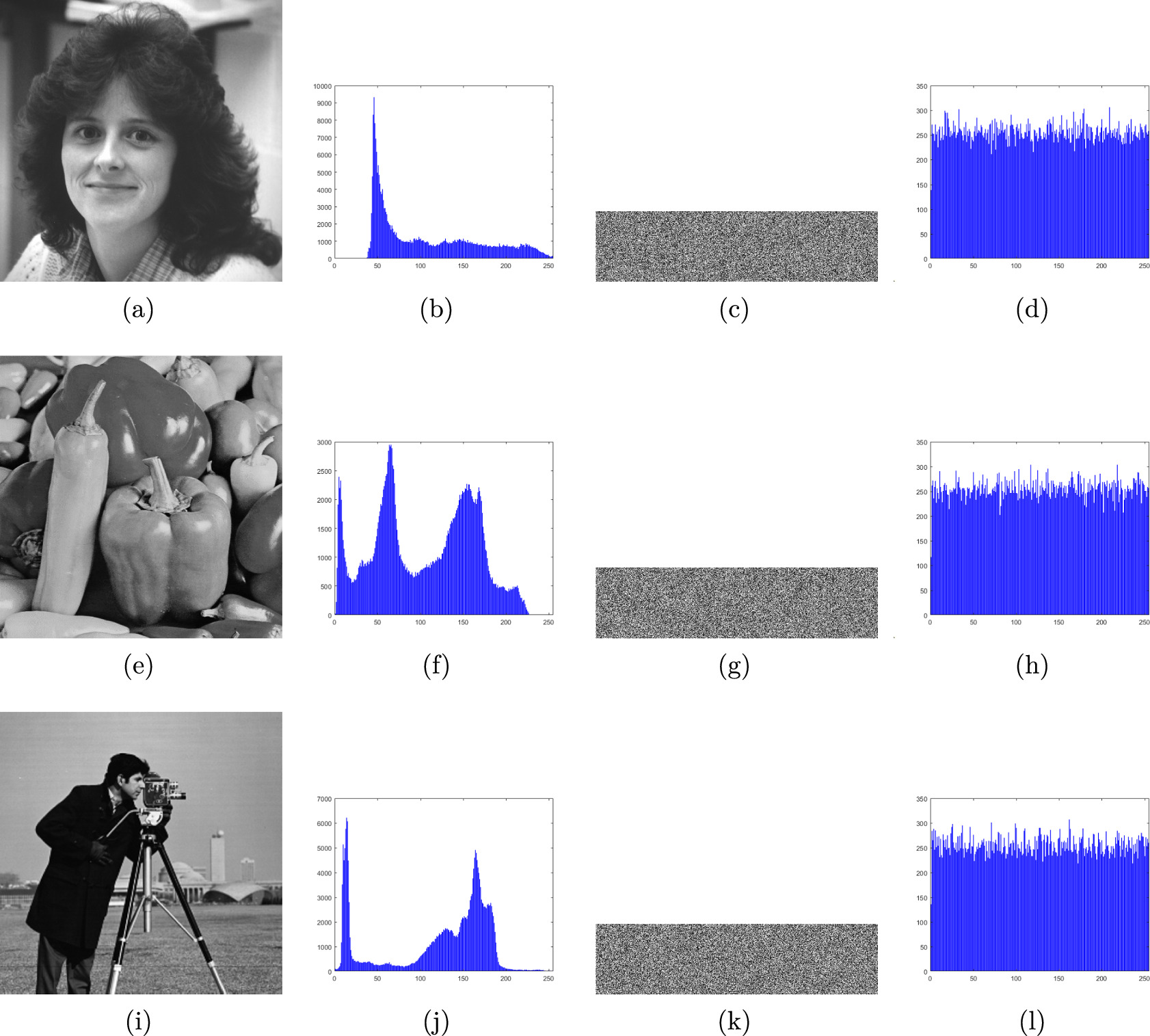A novel visually meaningful image encryption algorithm using two-way ...