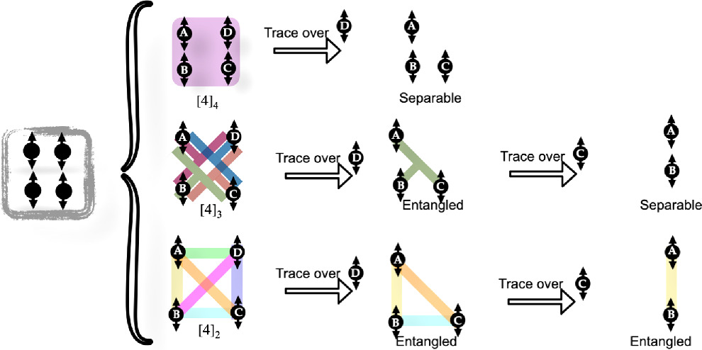 Quantum neural networks to detect entanglement transitions in quantum ...