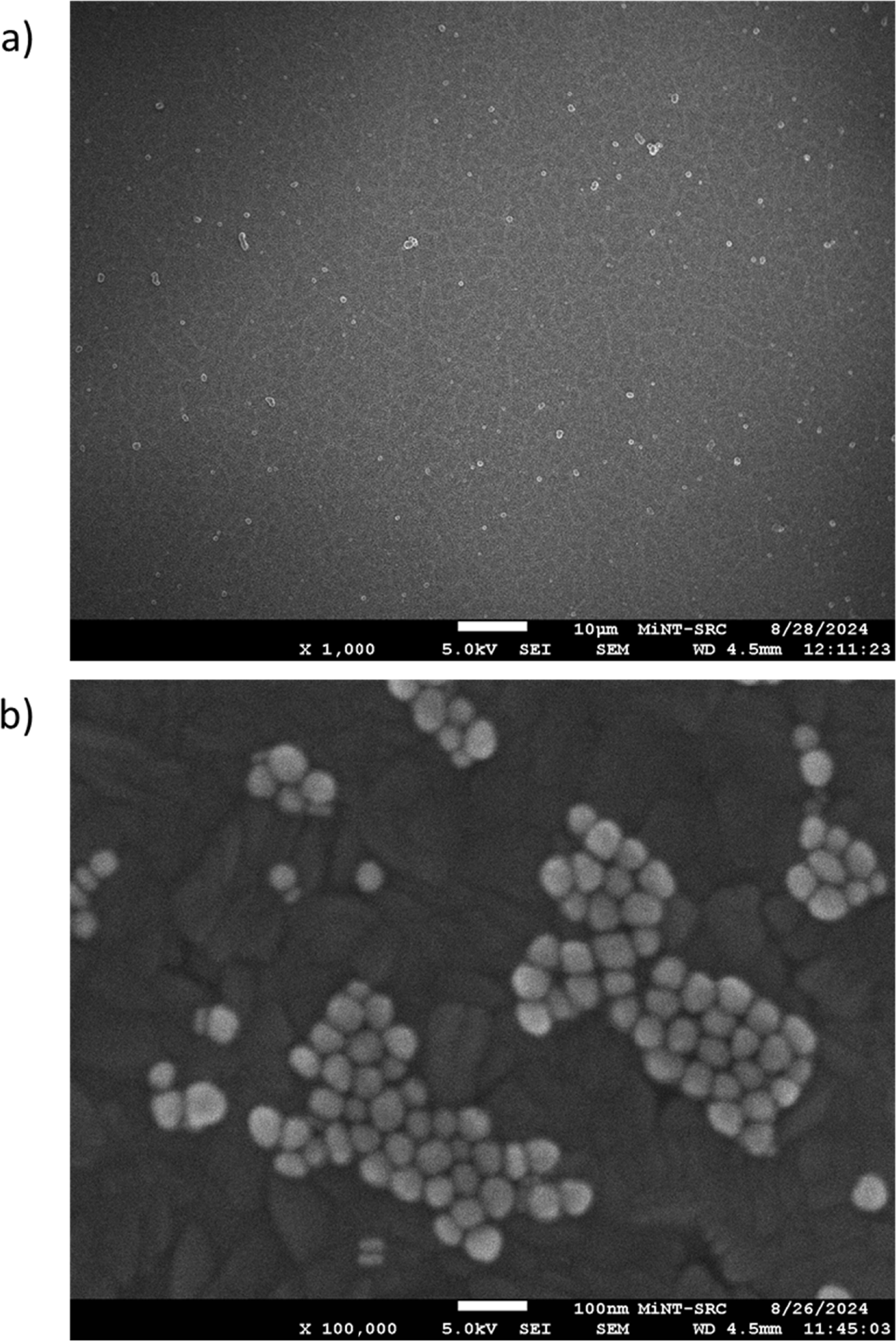 Gold nanosphere metamaterial-enhanced light absorption in TiO2 - IOPscience